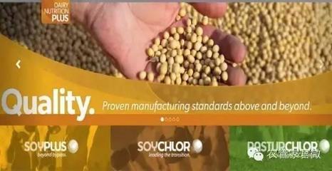 農(nóng)業(yè)合作社的力量 美國(guó)如何應(yīng)對(duì)谷物滯銷挑戰(zhàn)