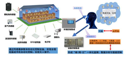 肉雞立體養(yǎng)殖技術(shù)指導(dǎo)意見 智能控制系統(tǒng)集成